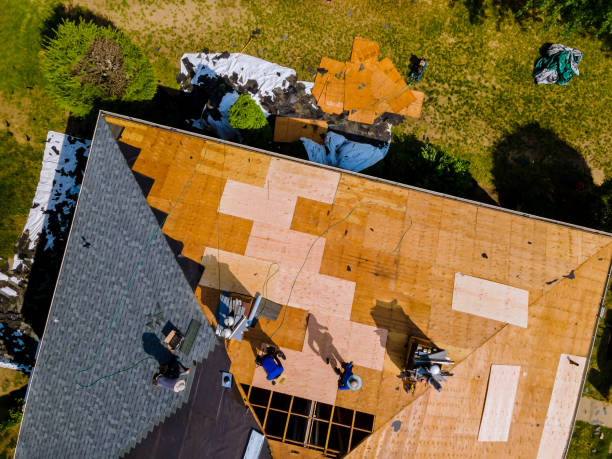 Best Flat Roof Repair Services  in Orient, NY